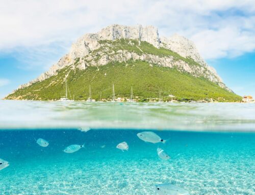 North Sardinia Adventures: Excursions and Trips Not to Be Missed